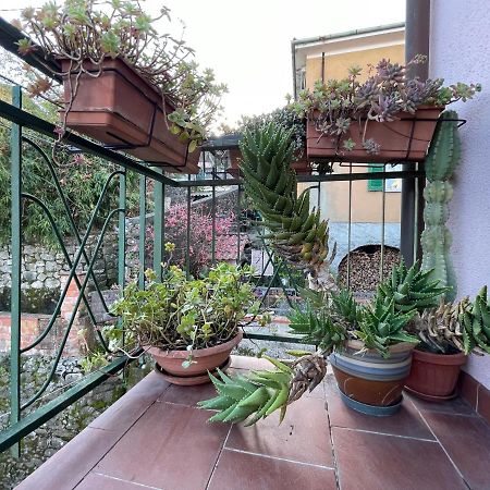 Tra Alpi Apuane E Cinque Terre.. Casetta Renata! Villa Valeriano Lunense Exteriör bild
