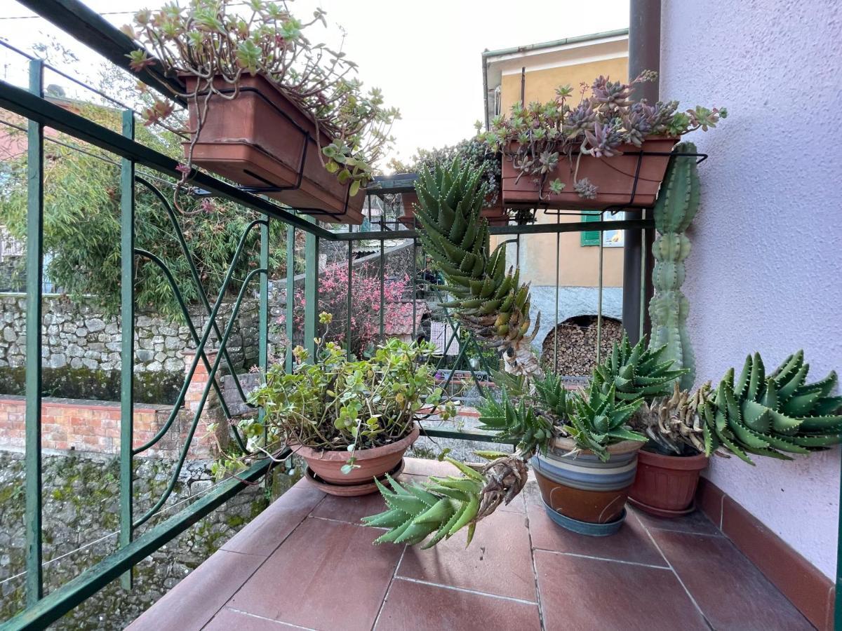 Tra Alpi Apuane E Cinque Terre.. Casetta Renata! Villa Valeriano Lunense Exteriör bild